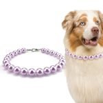 Fancy Dog Accessories: Pamper Your Pup in Style