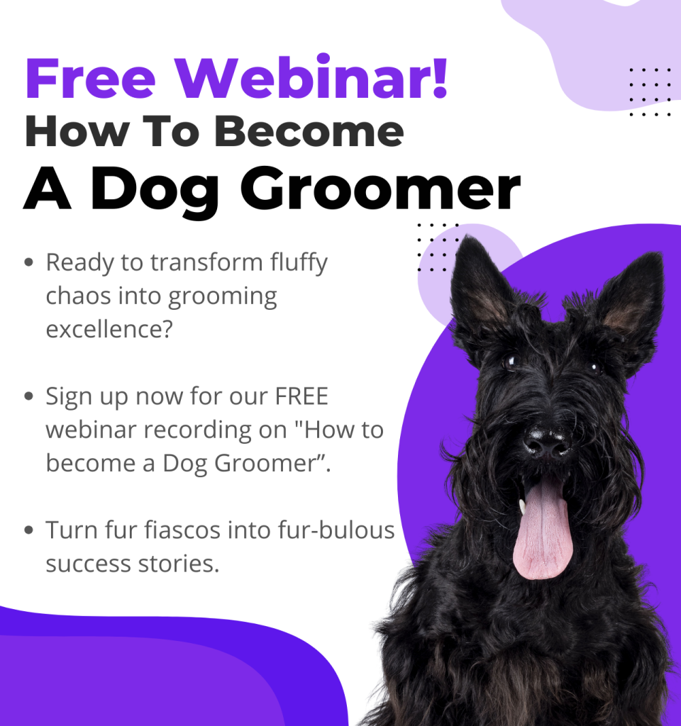Free Dog Grooming Courses Online: Master Pet Care Skills
