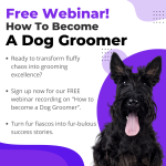Free Dog Grooming License: Unlock Your Pet Business Dreams