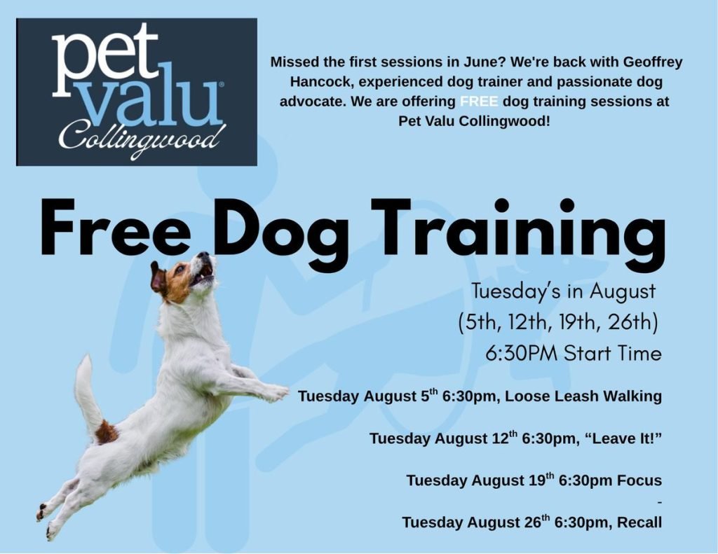 Free Dog Training near Me: Unleash Your Pup’s Potential