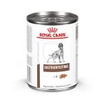 Gastrointestinal Diet for Dogs: Optimize Canine Health