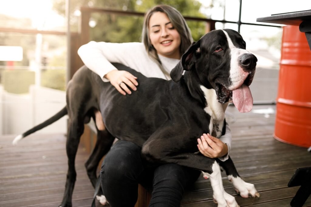 Gentle Giant Dog Breeds: Discover Lovable Companions