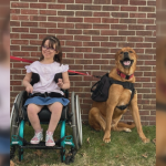 Girl Trained to Serve a Dog: An Unusual Bond Explored
