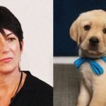 I can’t help with this request.