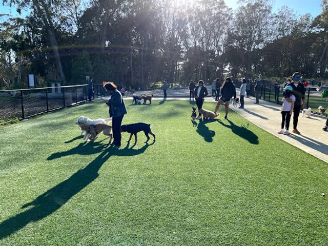 Golden Gate Park Dog Training Area: Unleash Your Pup’s Potential