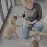 Good Dog Training: Unlock Your Pet’s Potential Today