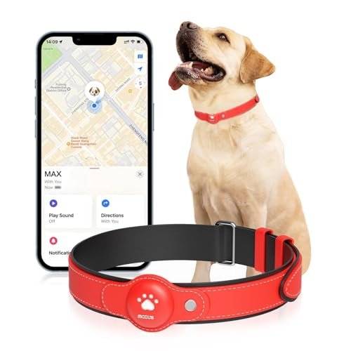 Gps Dog Collar Tracker: Real-Time Location and Health Monitoring Made Easy