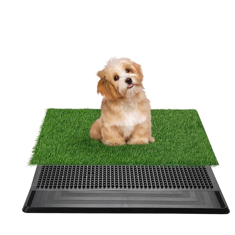 Grass Potty Training for Dogs: Ultimate Success Guide