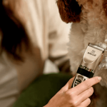 Grooming a Dog With Clippers: Expert Tips for Success