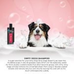 Grooming Shampoo for Dogs: Unlock Silky, Healthy Coats