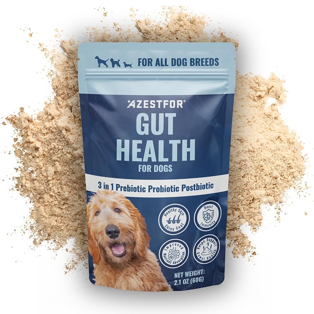 Gut Health for Dogs: Unlock Vitality with Simple Tips