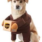 Halloween Dog Costumes Amazon: Top Fun and Unique Outfits for Your Pup
