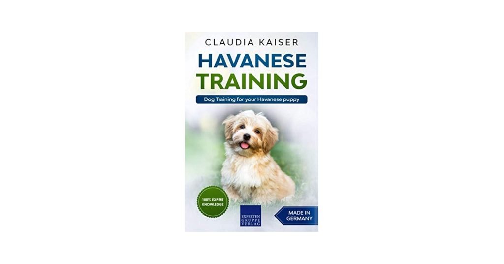 Havanese Dog Training: Mastering Puppy Obedience