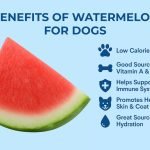 Health Benefits of Watermelon for Dogs: A Tasty Treat