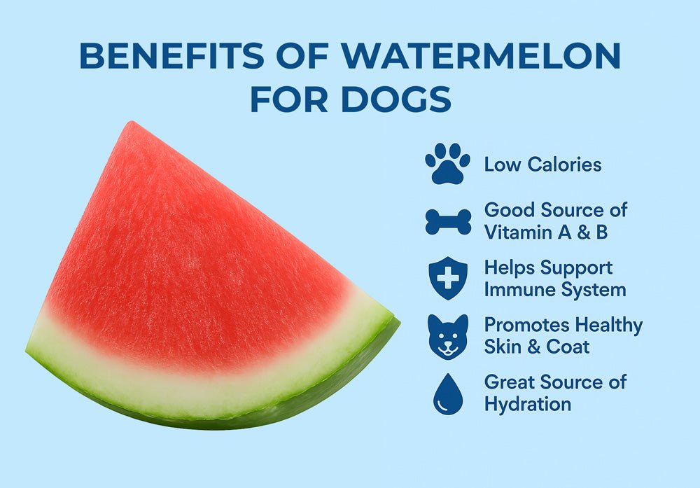 Health Benefits of Watermelon for Dogs: A Tasty Treat