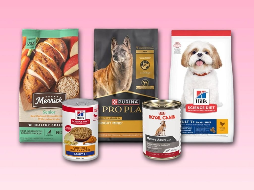 Healthy Diet for Senior Dogs: Boost Longevity Naturally