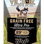 High Calorie Dog Food for Active Dogs: Fuel Their Adventures