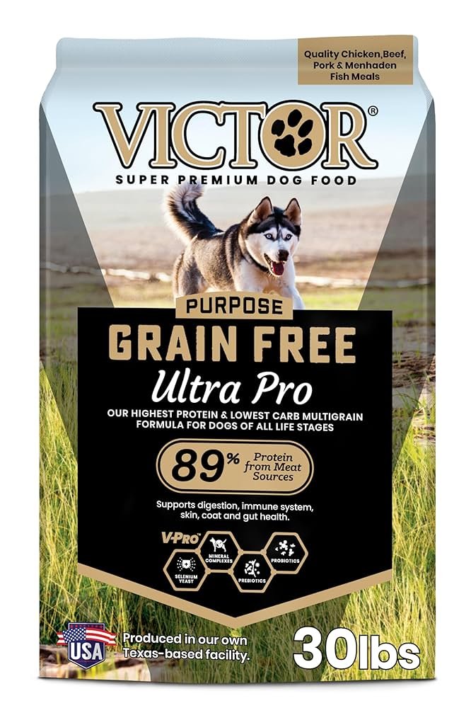 High Calorie Dog Food for Active Dogs: Fuel Their Adventures