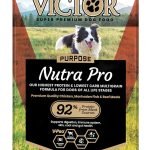 High Protein Dog Food for Active Dogs: Boost Vitality