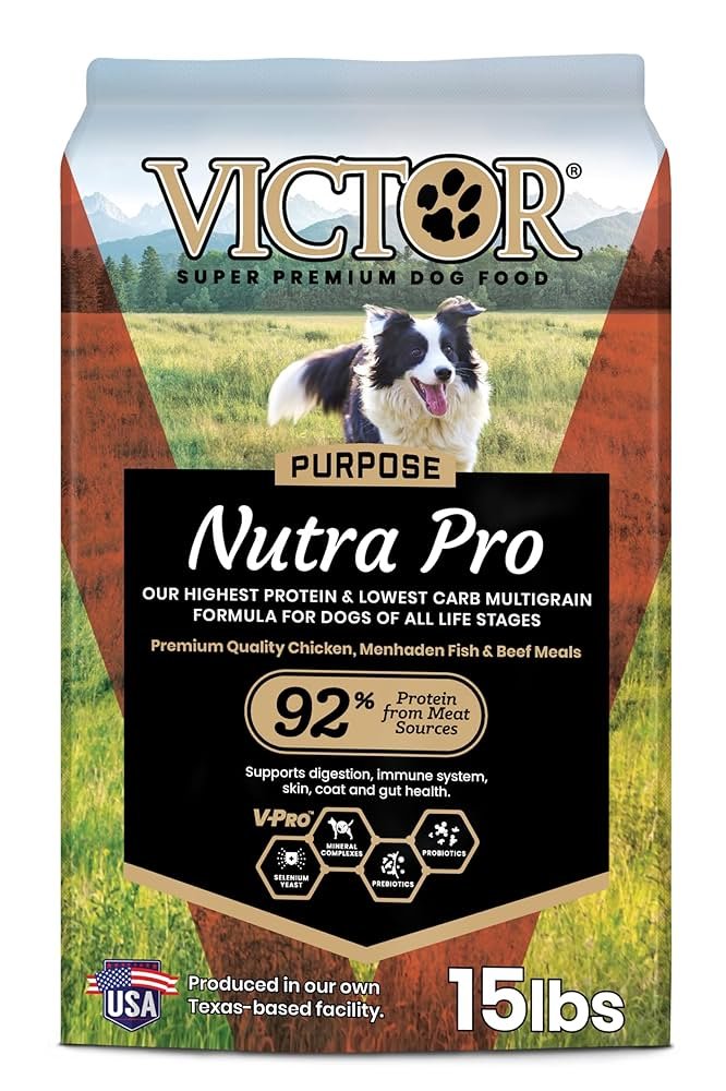 High Protein Dog Food for Active Dogs: Boost Vitality