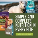 High Protein Low Carb Dog Food Diet: Ultimate Guide