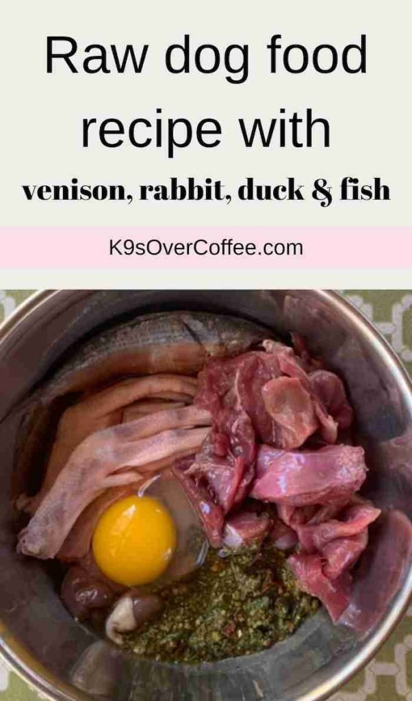 Homemade Diet for Dogs With Allergies: Safe Solutions