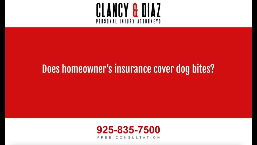 Homeowners Insurance And Dog Bites: Protect Your Assets