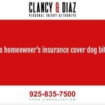 Homeowners Insurance And Dog Bites: Protect Your Assets