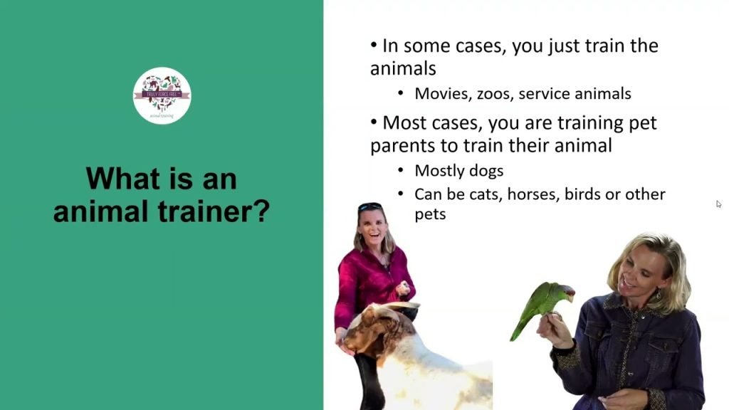 How Do I Become a Dog Trainer: Expert Tips Unveiled