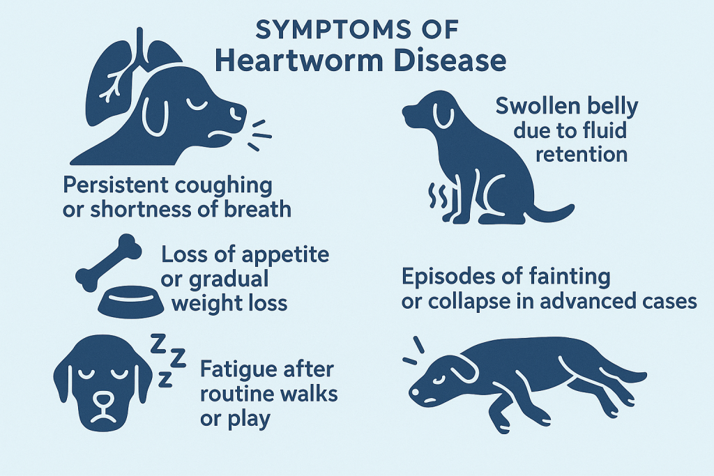 How Long After Heartworm Treatment Can Dog Be Active: Expert Timeline