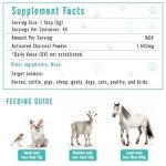 How Many Mg of Activated Charcoal for Dogs: Expert Guide