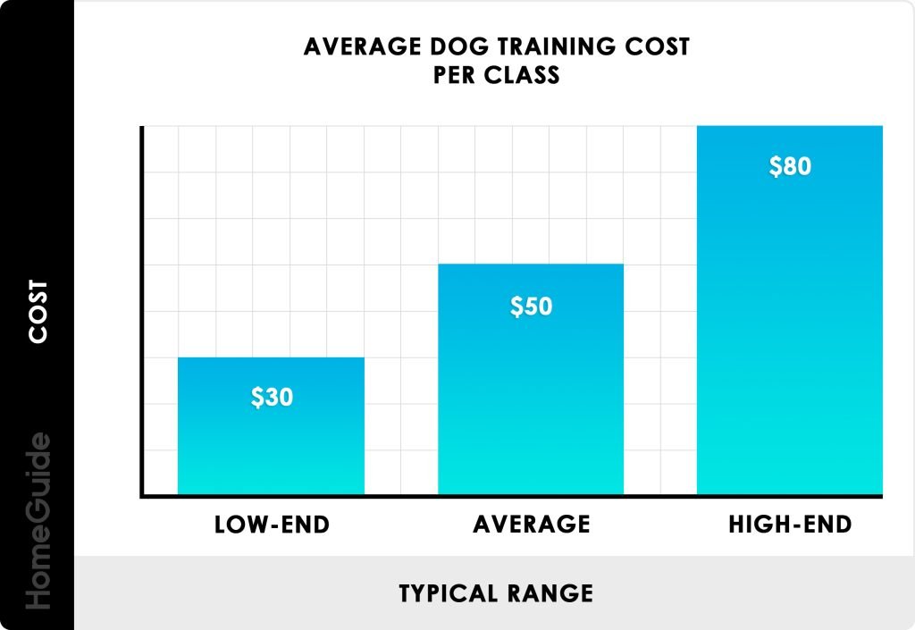 How Much Does Dog Training Cost: Unveiling Key Factors