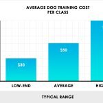How Much Does Dog Training Cost: Unveiling Key Factors