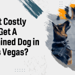 How Much Does It Cost to Become a Dog Trainer: Unveiled