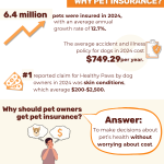How Much is a Dog Insurance: Uncover Affordable Plans