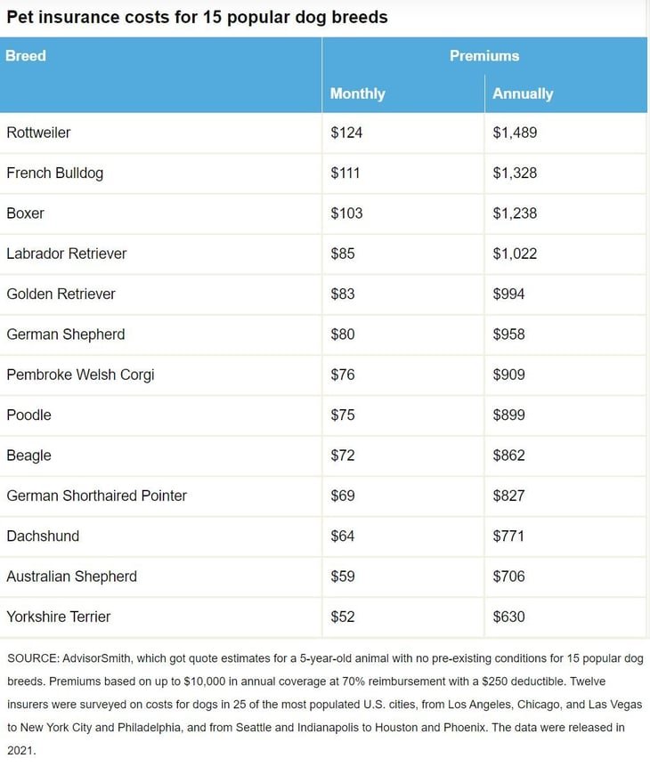 How Much More Will a Dog Breed Increase Insurance Costs?