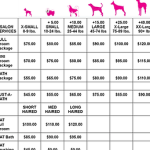 How Much to Groom a Dog: Cost Breakdown & Tips