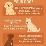 How Often Groom Dog: Tips for a Healthy Coat
