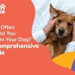 How Often to Groom Dog: Essential Tips for Every Breed