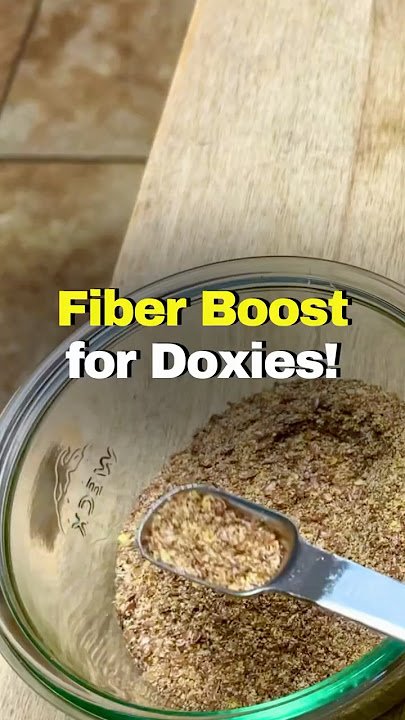 How to Add Fiber to Dog Diet: Boost Health Naturally