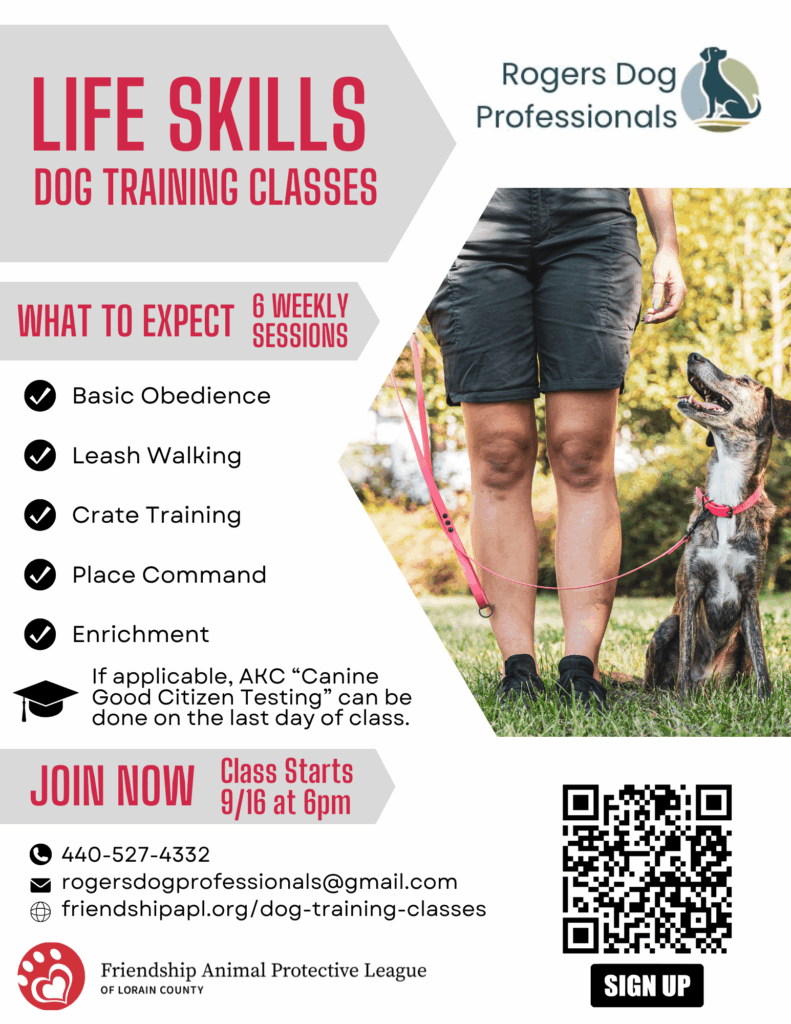 How to Be a Dog Trainer: Master the Art Quickly