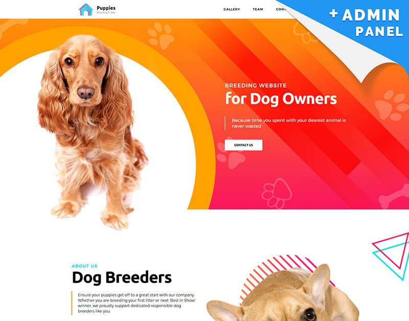 How to Become a Dog Breeder: Expert Tips & Insights