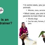 How to Become a Dog Trainer: Master Your Passion