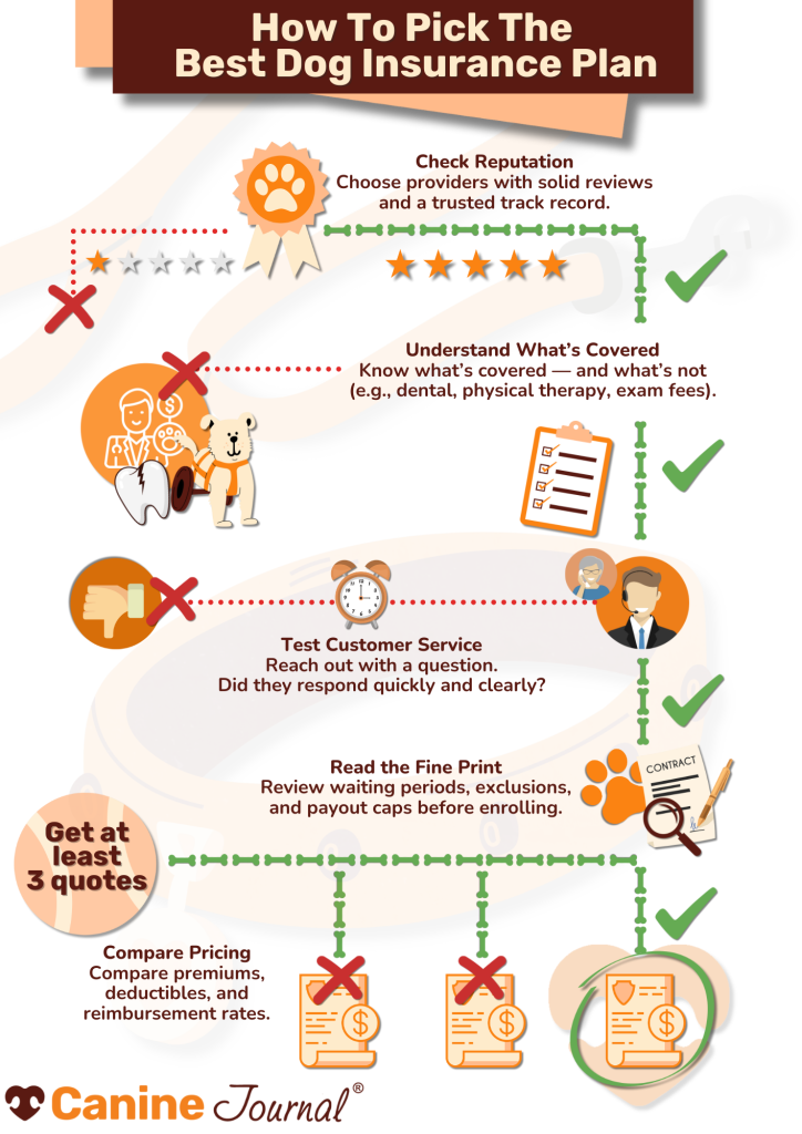 How to Choose Dog Insurance: Expert Tips for Pet Owners