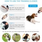 How to Clicker Train a Dog: Quick & Effective Techniques