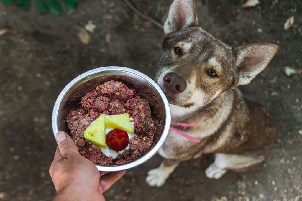 How to Feed Your Dog a Raw Diet: Ultimate Guide