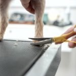 How to Groom Dog Paws: Expert Tips for Healthy Feet