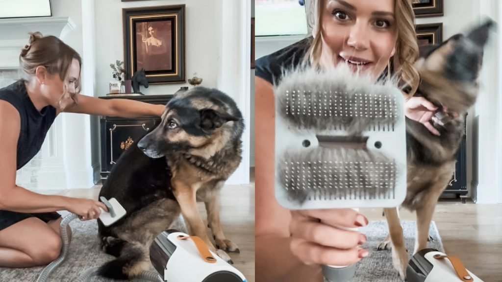 How to Groom Your Dog With Clippers: Expert Tips