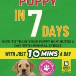 How to House Train a Dog in 7 Days: Quick Success Tips