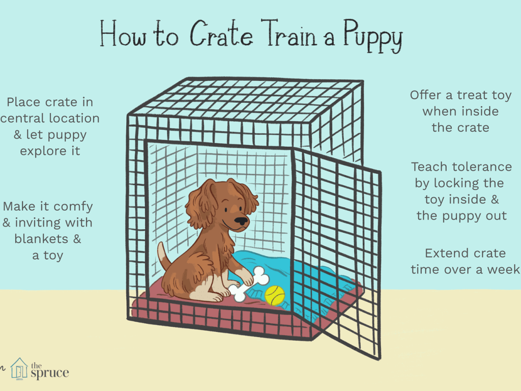 How to Kennel Train a Dog: Essential Tips and Tricks